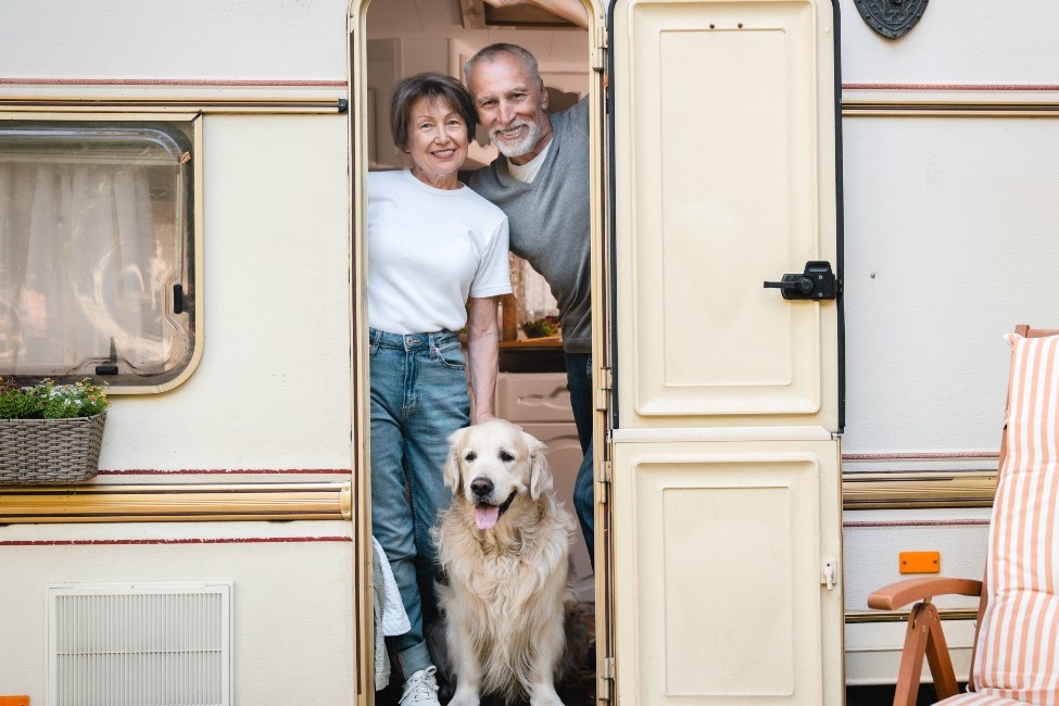 the-best-guide-to-traveling-with-your-dog-in-an-rv