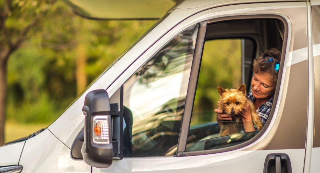Smiling woman enjoying a road trip with her adorable Yorkshire Terrier, peering out from the window of a modern camper van surrounded by lush greenery