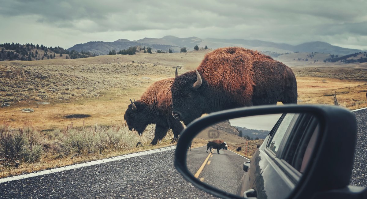 RV Road Trip Guide San Francisco to Yellowstone National Park