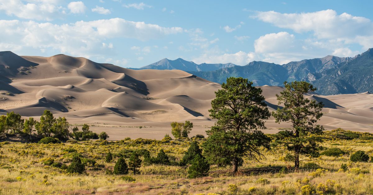  Vast landscape of Great Sand Dunes National Park near Denver showcasing majestic sand dunes with lush greenery and rugged mountain backdrop in Colorado