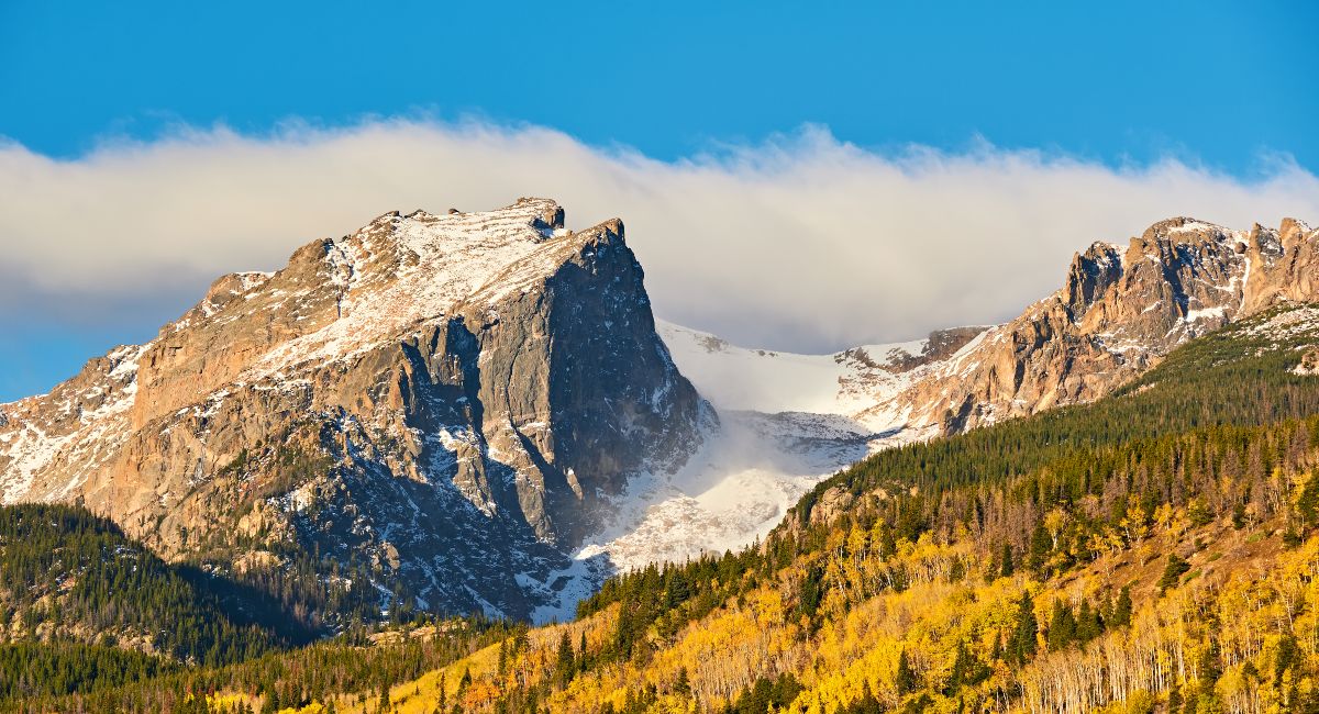 Stunning autumn view of Rocky Mountain National Park near Denver, showcasing an aspen grove in golden fall colors beneath the towering snow-capped peaks