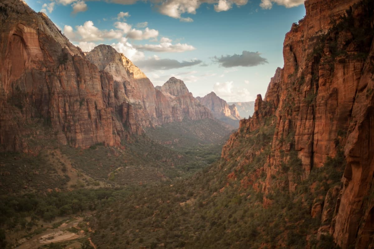 Large red rock canyons in Zion National Park