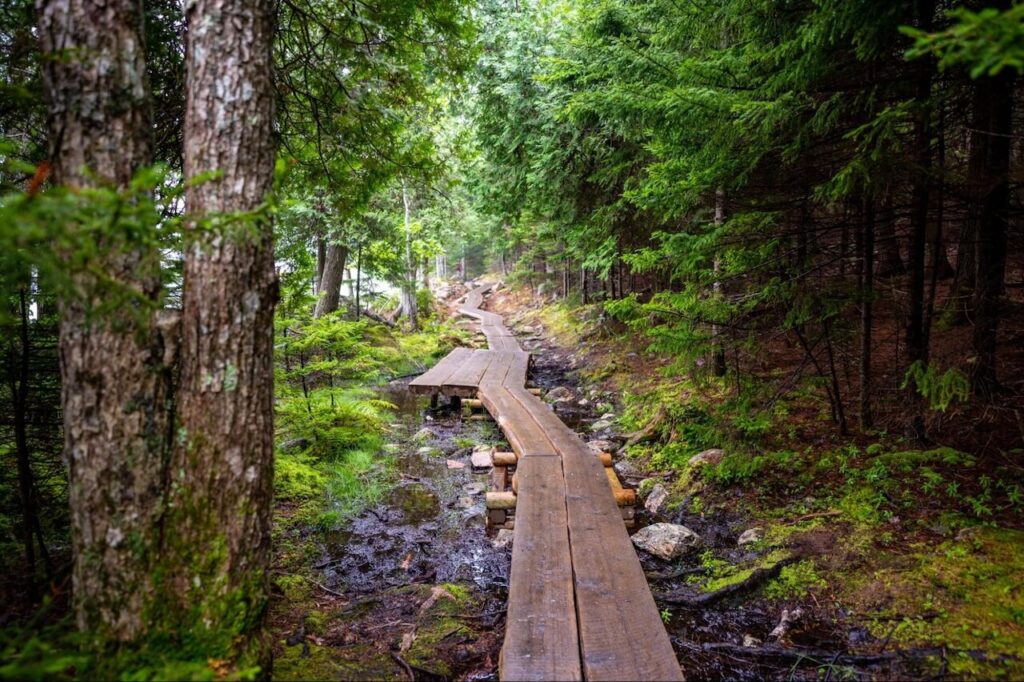 Jordan Pond Trail