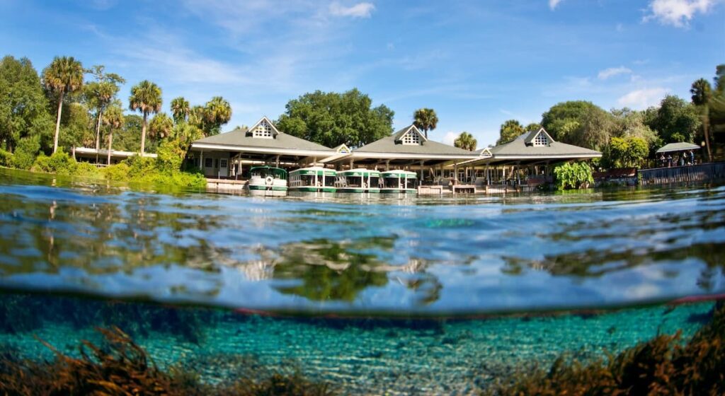 Glass bottom boats in the water at Silver Springs State Park Florida