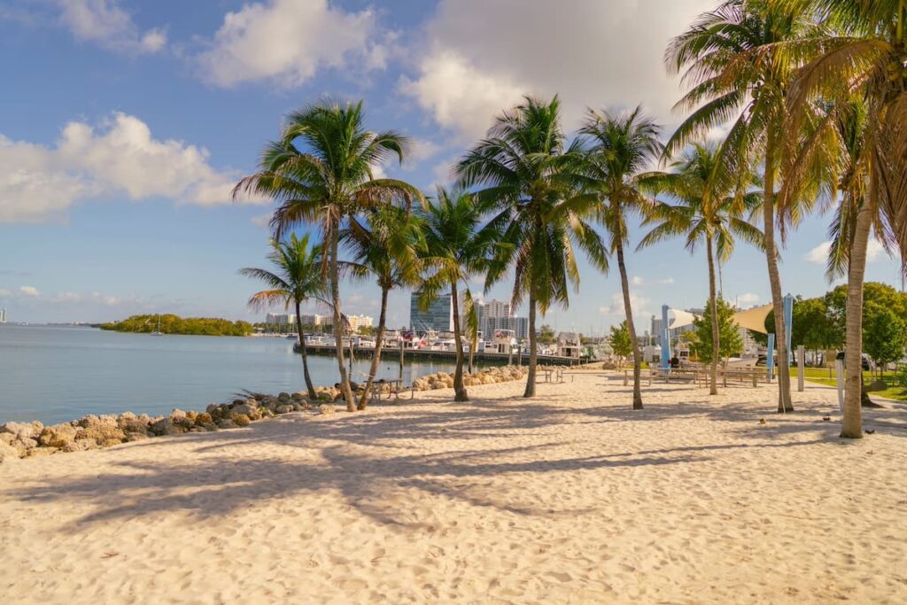 Soft sands and green palm trees at a beach in Key West Florida