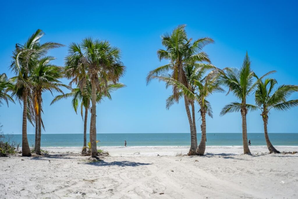 White sand beach with tall palm trees at a beach in Naples, Florida