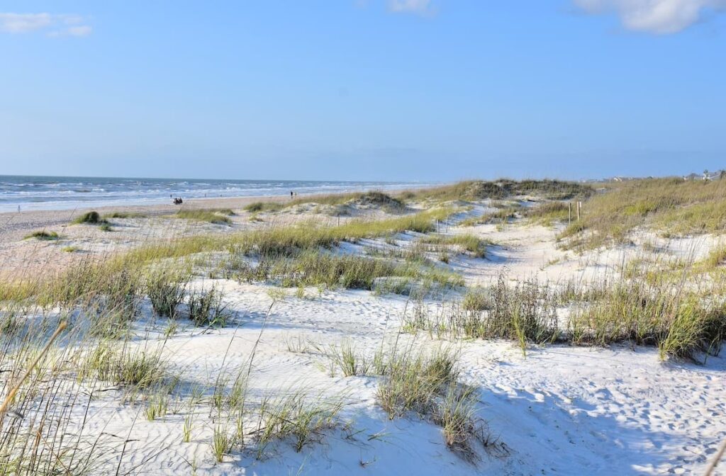 Grassy sand dunes at St. Augustine Beach in Florida