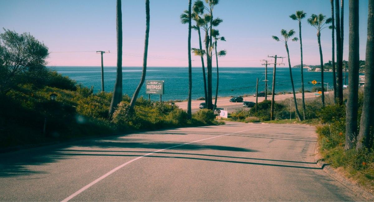 Palm tree-lined road leading to Surf Outpost RV park with ocean views 
