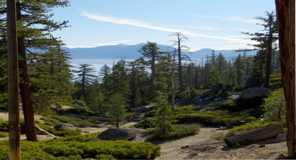 View of Lake Tahoe through tall pine trees and granite boulders at D.L. Bliss State Park on California's west shore